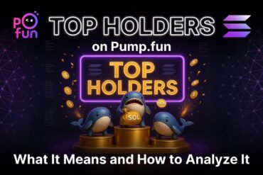 Top Holders on Pump.fun wallet concentration analysis